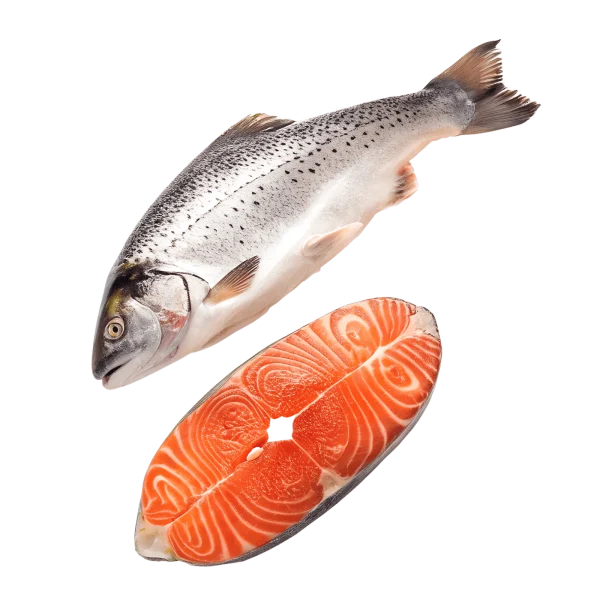 Trucha 1KG