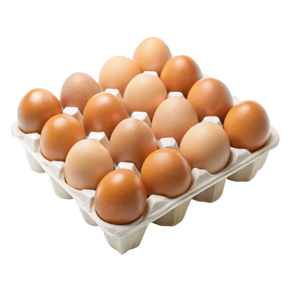Huevos